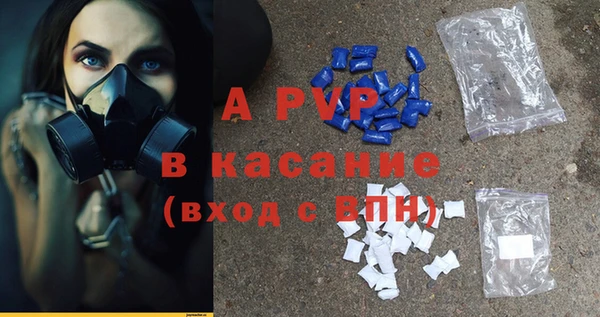 шишки Абинск